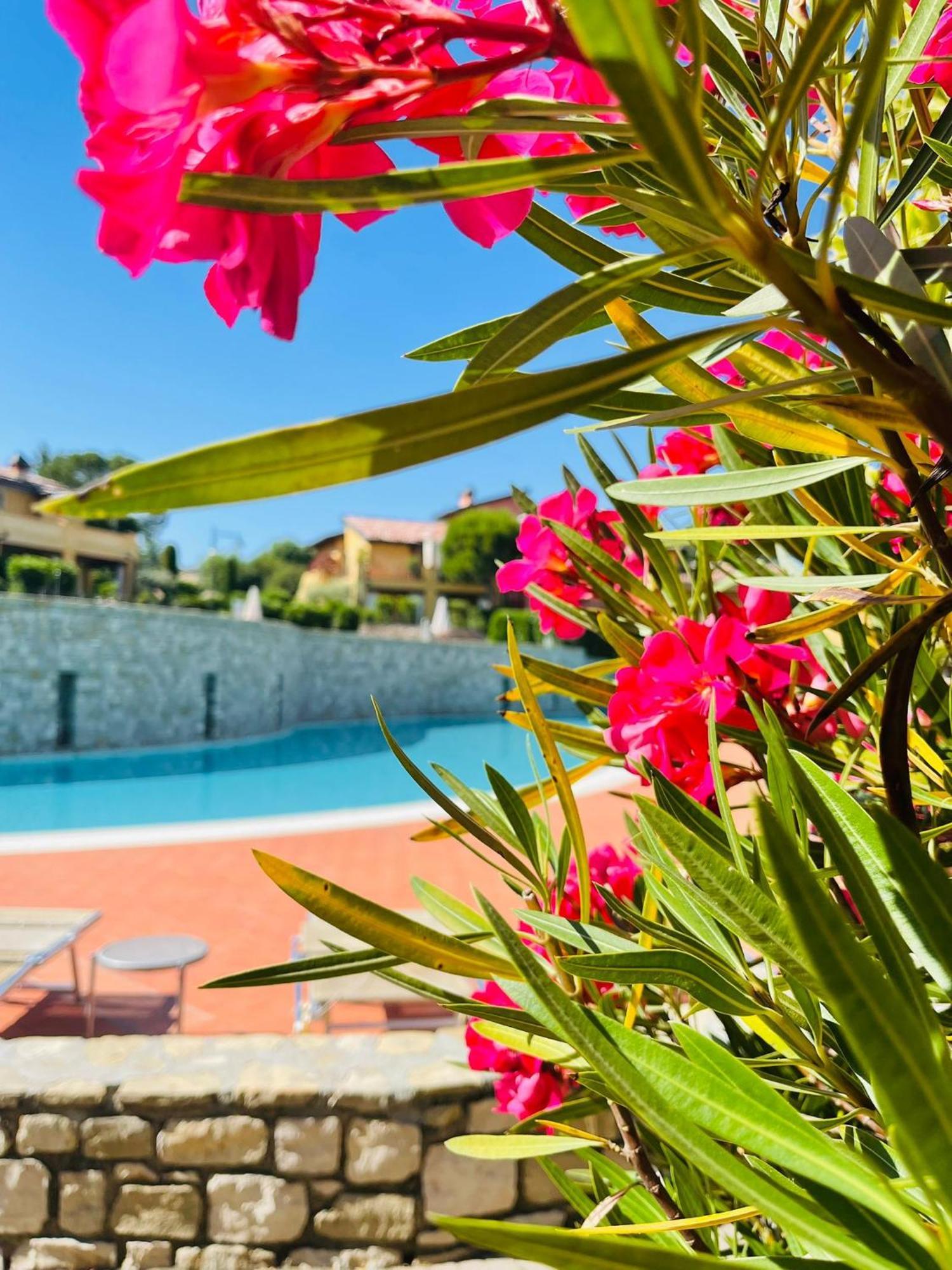 Borgo Del Torchio - Gardagate Apartment มาแนร์บา เดล การ์ดา ภายนอก รูปภาพ